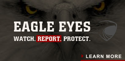 EagleEyes1.png